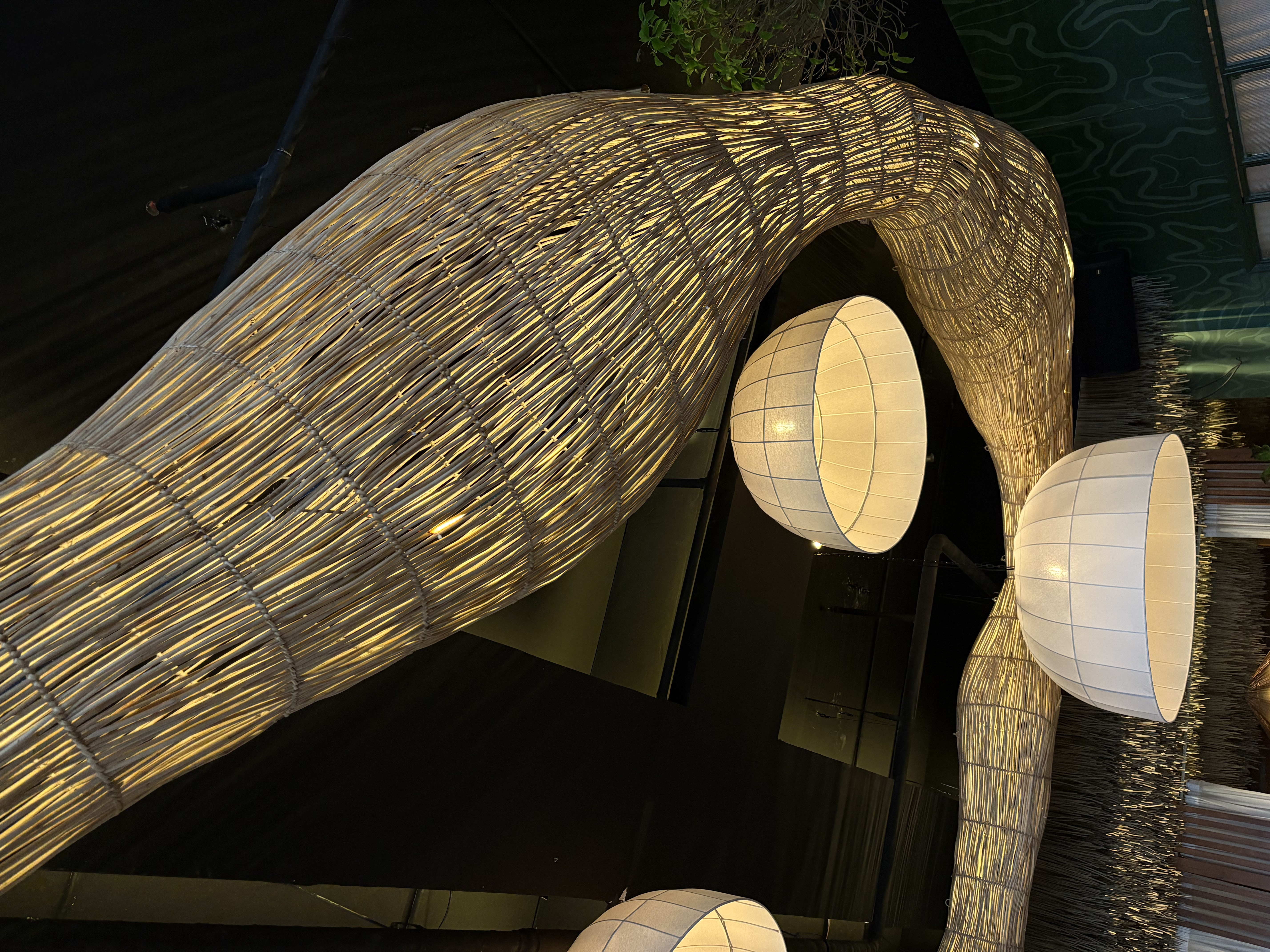 Customized project 17