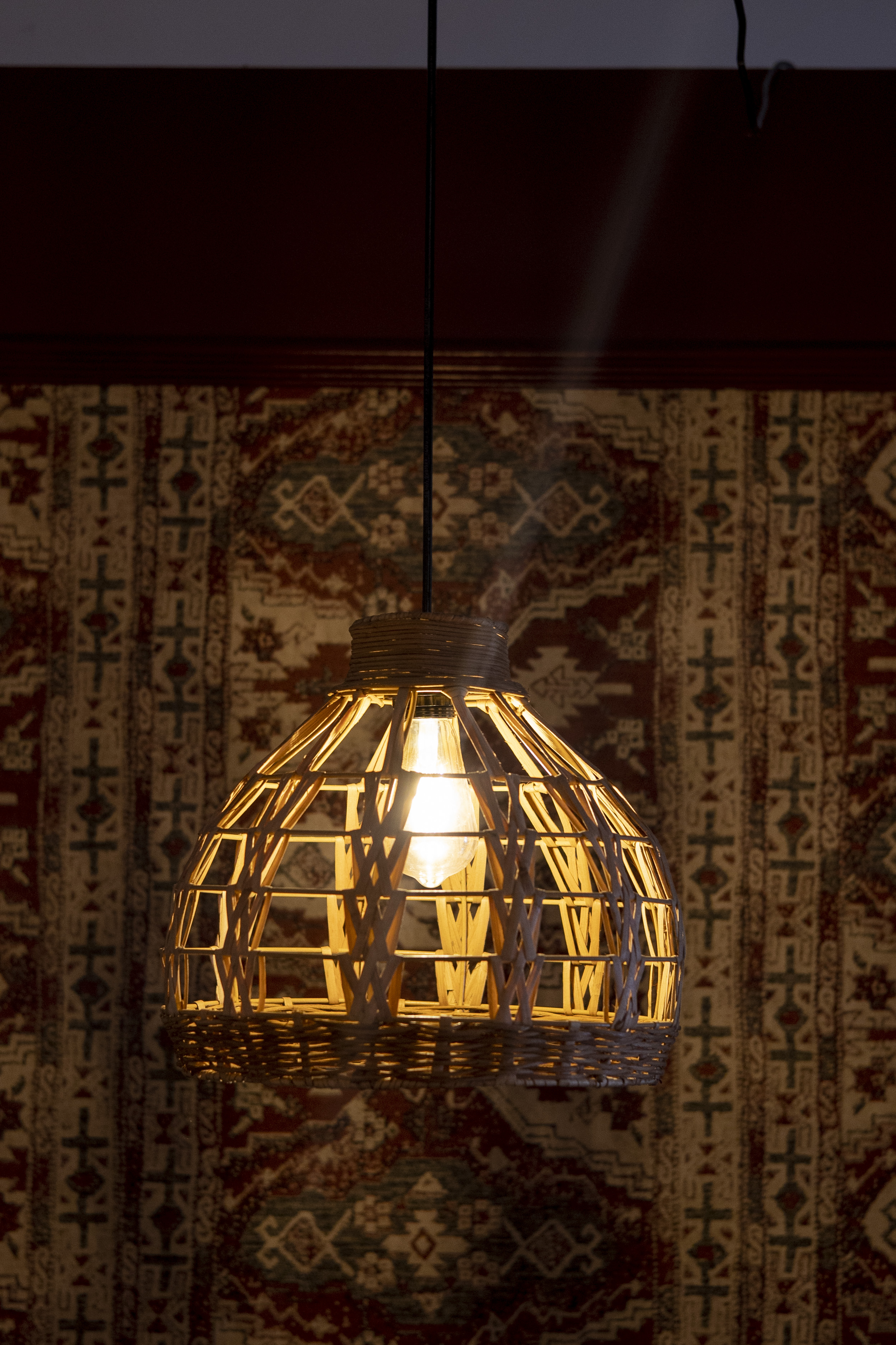 Palm LeafLight | Chandelier Lamp | Hanging light