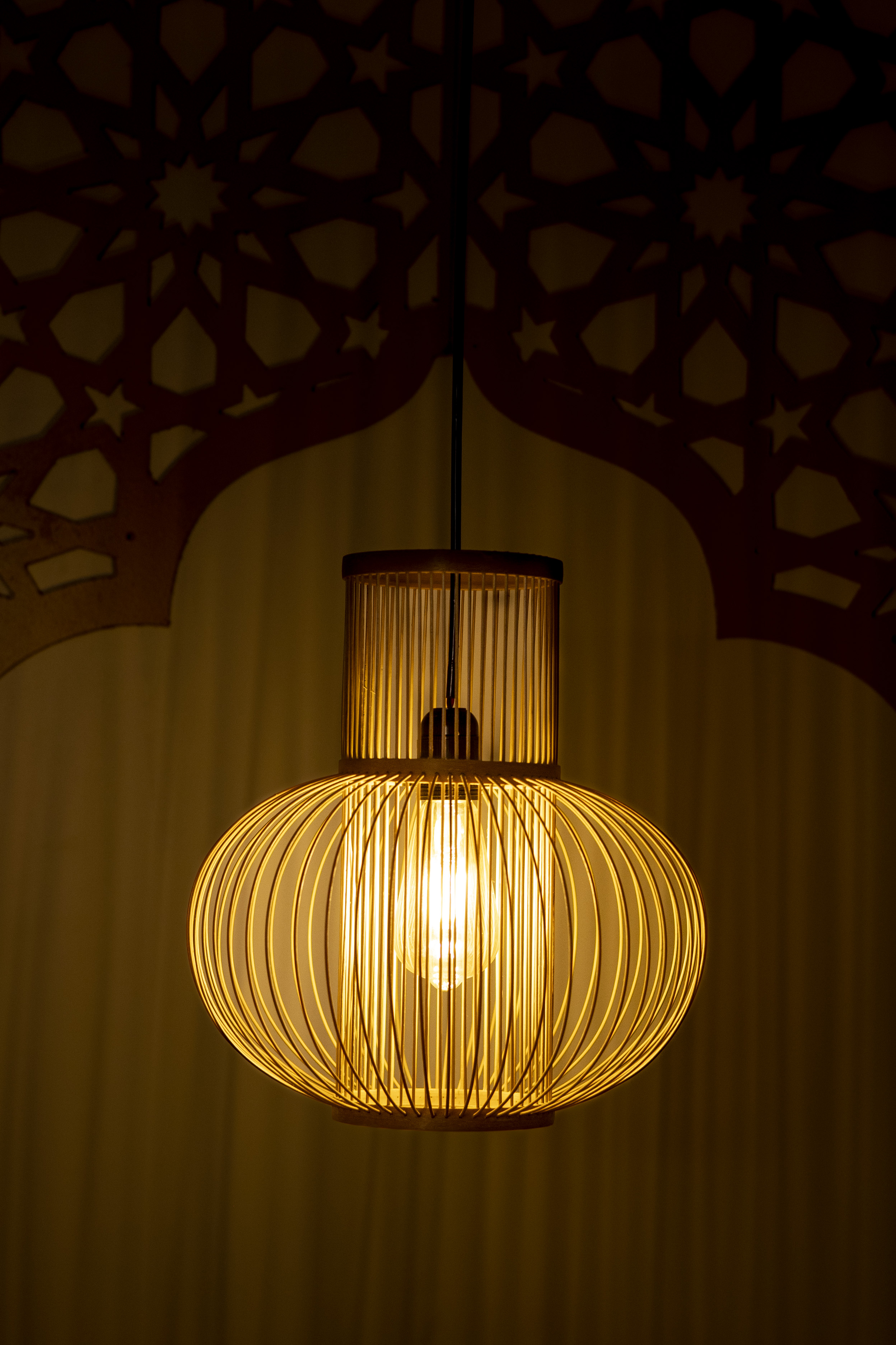 Bamboo Light | Chandelier Lamp | Hanging light