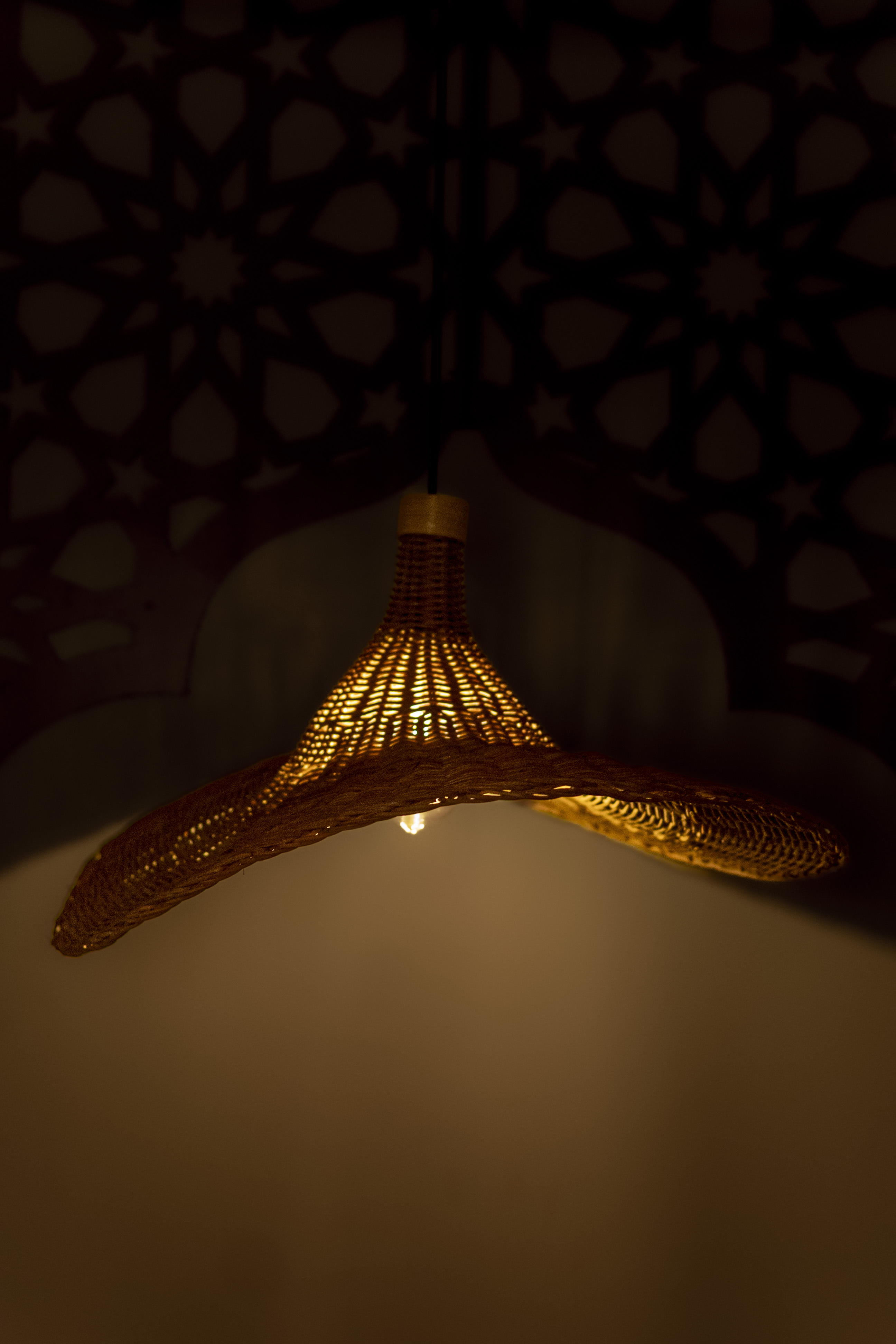 Rattan lampshade | Chandelier Lamp | Hanging light