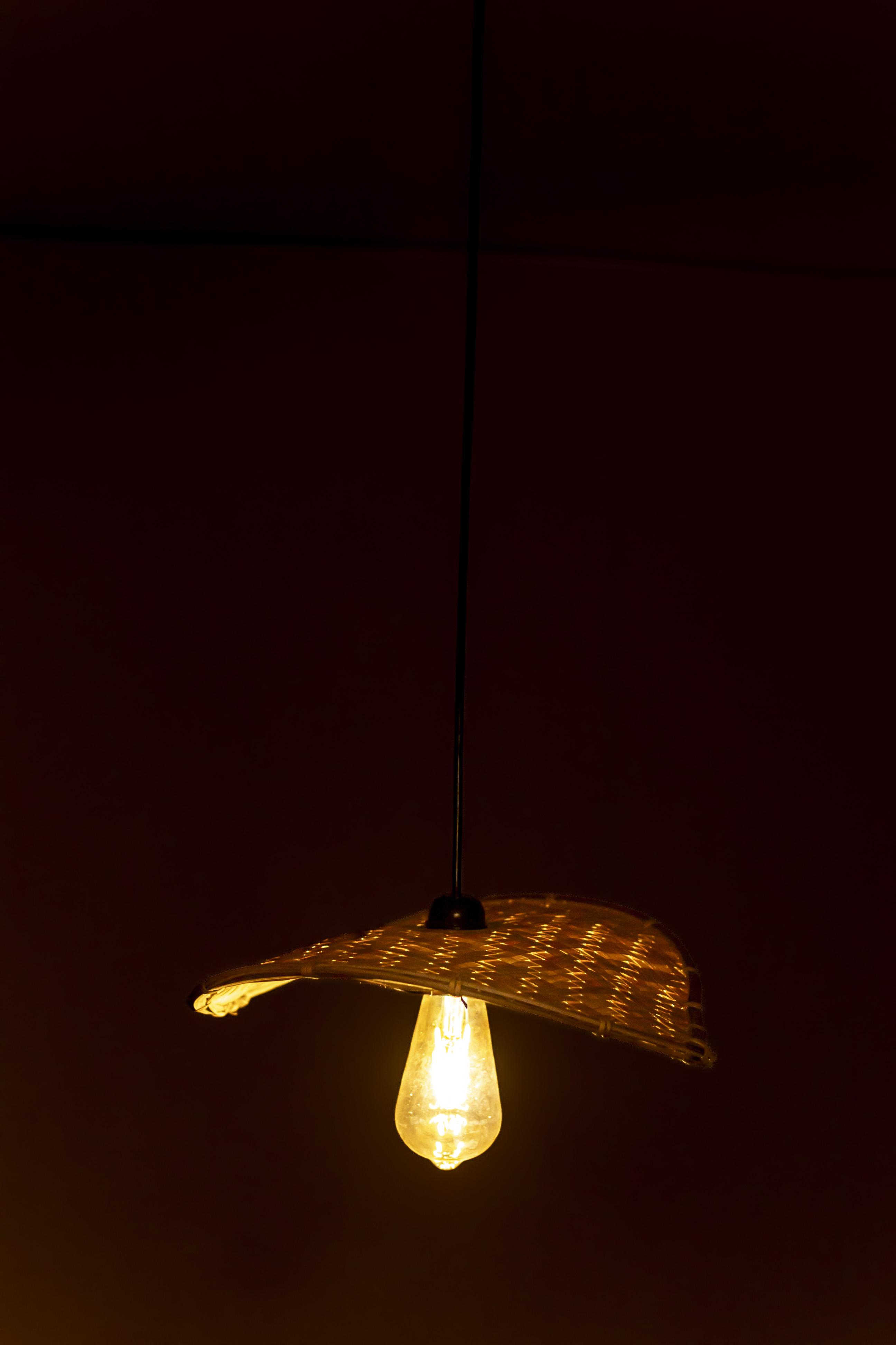 Bamboo Light | Chandelier Lamp | Hanging light